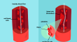 A Blood Clot Can Lead to a Heart Attack, Thrombosis, or a Stroke: Here Are 7 Powerful Blood Thinning Foods You Need